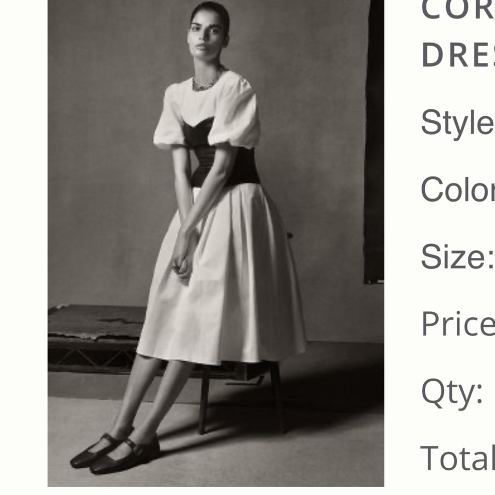 Anthropologie corset dress.Never been worn.Great lining.Puffy sleeves.